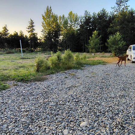 Cabana Valdivia Piedra Blanca 1 Εξωτερικό φωτογραφία
