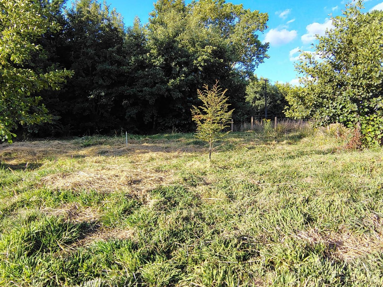 Cabana Valdivia Piedra Blanca 1 Εξωτερικό φωτογραφία